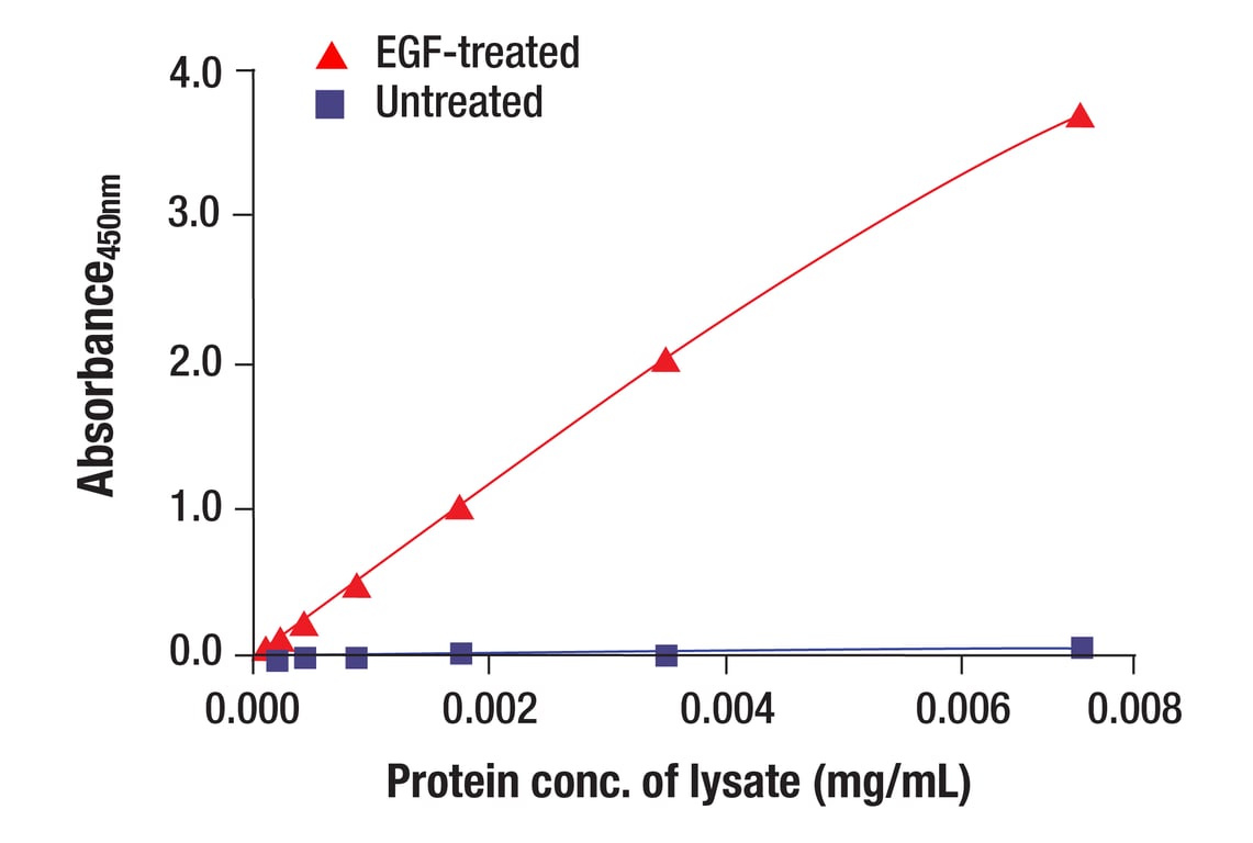 ELISA and/or ELISA-like Assays Image 6: EGF Receptor (EGFR1) Mouse Monoclonal Antibody (BSA and Azide Free)