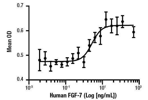 undefined Image 1: Human FGF-7 Recombinant Protein