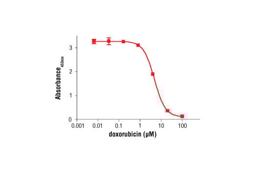 FUNC Image 3: BrdU Cell Proliferation Assay Kit