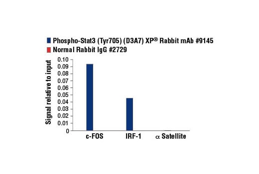 Chromatin Immunoprecipitation Image 3: Phospho-Stat3 (Tyr705) (D3A7) Rabbit Monoclonal Antibody