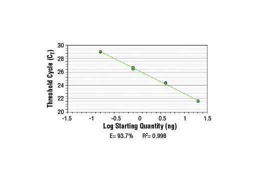 Chromatin Immunoprecipitation Image 2: SimpleChIP<sup>®</sup> Human HSPA6 Promoter Primers