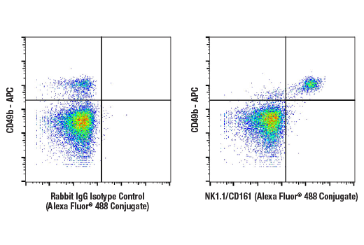 Flow Cytometry Image 1: NK1.1/CD161 (E6Y9G) Rabbit Monoclonal Antibody (Alexa Fluor<sup>®</sup> 488 Conjugate)