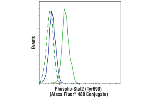 Flow Cytometry Image 1: Phospho-Stat2 (Tyr690) (D3P2P) Rabbit mAb (Alexa Fluor<sup>®</sup> 488 Conjugate)