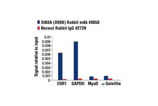 Chromatin Immunoprecipitation Image 2: SIN3A (D9D6) Rabbit Monoclonal Antibody