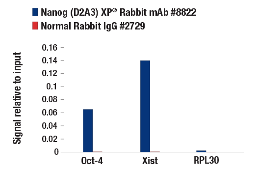 Chromatin Immunoprecipitation Image 3: Nanog (D2A3) Rabbit Monoclonal Antibody