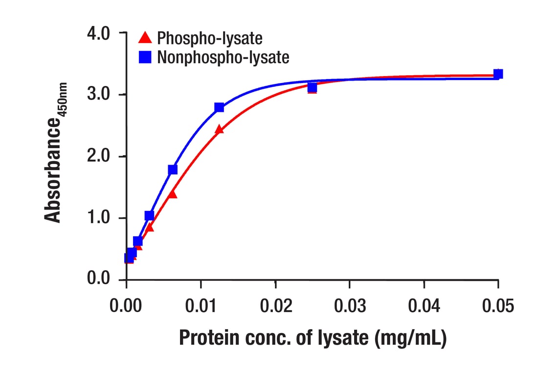 ELISA Image 4: PathScan<sup>®</sup> Total ALK Sandwich ELISA Kit