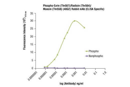 undefined Image 41: Microglia LPS-Related Module Antibody Sampler Kit