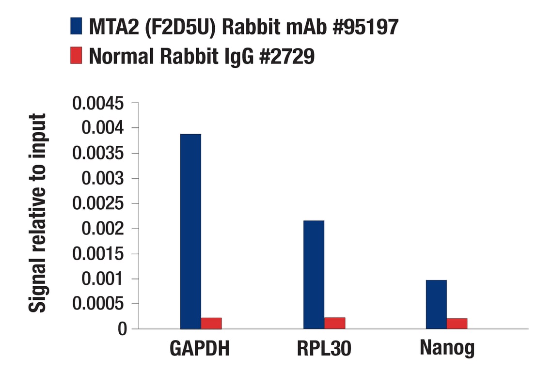 Chromatin Immunoprecipitation Image 1: MTA2 (F2D5U) Rabbit Monoclonal Antibody