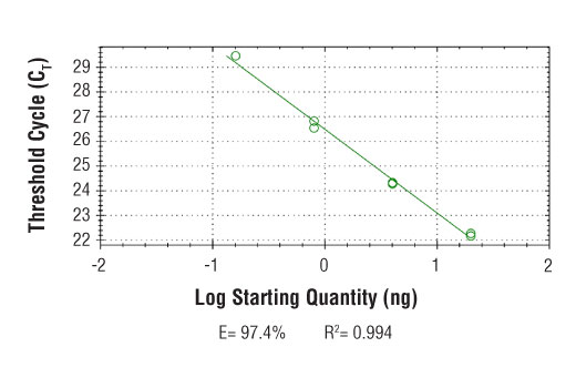 Chromatin Immunoprecipitation Image 2: SimpleChIP<sup>®</sup> Human c-Fos Upstream Primers