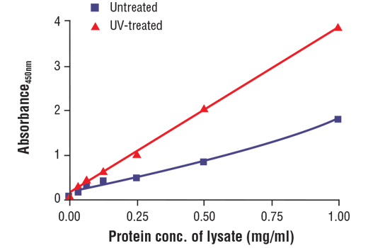ELISA Image 2: PathScan<sup>®</sup> Phospho-Histone H2A.X (Ser139) Sandwich ELISA Kit
