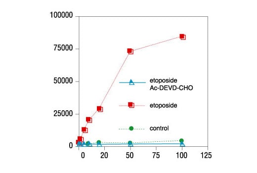 undefined Image 1: Caspase-7 Activity Assay Kit