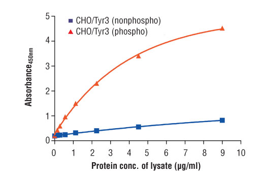 ELISA Image 2: PathScan<sup>®</sup> Phospho-Tyro3 (panTyr) Sandwich ELISA Kit