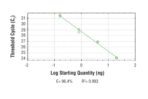 Chromatin Immunoprecipitation Image 2: SimpleChIP<sup>®</sup> Human ADAM9 Intron 11 Primers
