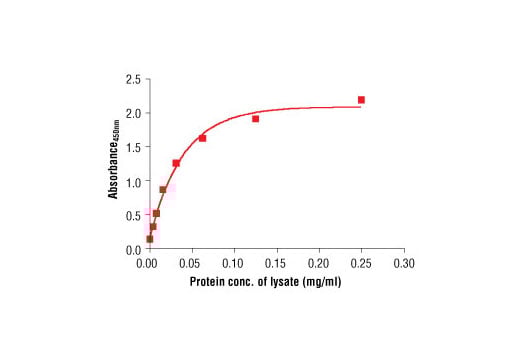 ELISA Image 2: PathScan<sup>®</sup> Total β-Actin Sandwich ELISA Kit
