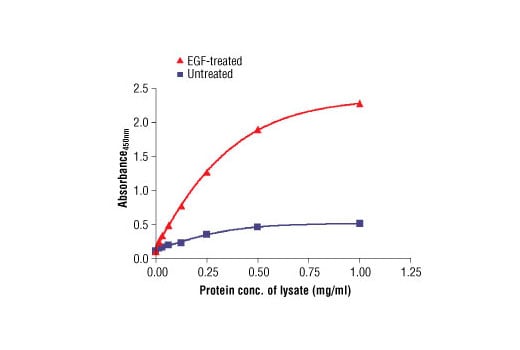 ELISA Image 2: PathScan<sup>®</sup> Phospho-Stat5 (Tyr694) Sandwich ELISA Kit