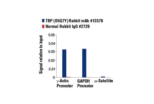 Chromatin Immunoprecipitation Image 1: TBP (D5G7Y) Rabbit Monoclonal Antibody