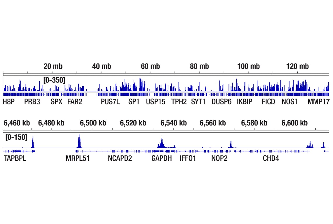 CUT & Tag Image 3: CUT&Tag Dual Index Primers and PCR Master Mix for Illumina Systems