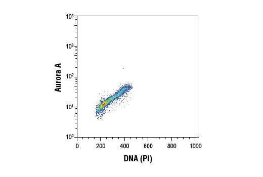 Flow Cytometry Image 1: Aurora A (1F8) Mouse Monoclonal Antibody