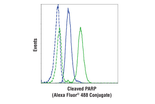 Flow Cytometry Image 1: Cleaved PARP (Asp214) (D64E10) Rabbit Monoclonal Antibody (Alexa Fluor<sup>®</sup> 488 Conjugate)