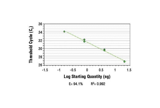 Chromatin Immunoprecipitation Image 2: SimpleChIP<sup>®</sup> Human CDKN1B Promoter Primers