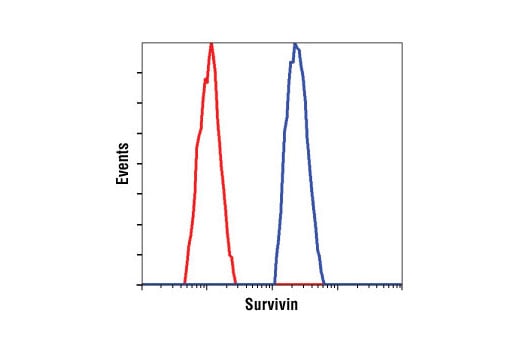 Survivin (71G4B7) Rabbit mAb (BSA and Azide Free) (#56622