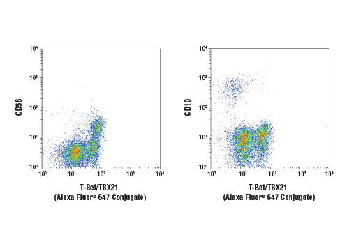 Flow Cytometry Image 1: T-Bet/TBX21 (D6N8B) Rabbit Monoclonal Antibody (Alexa Fluor<sup>®</sup> 647 Conjugate)