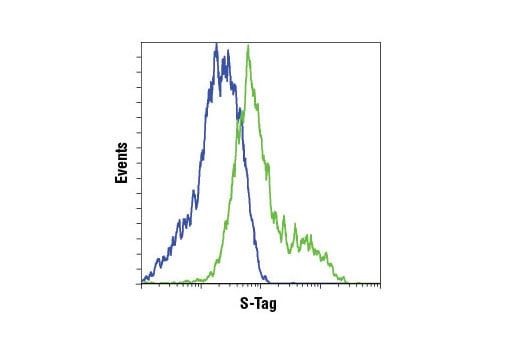 Flow Cytometry Image 1: S-Tag (D2K2V) Rabbit Monoclonal Antibody (BSA and Azide Free)