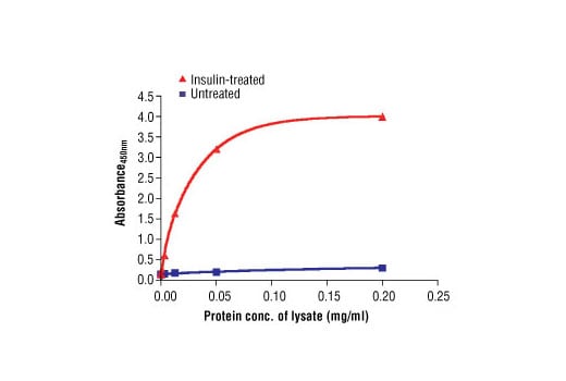 ELISA Image 2: PathScan<sup>®</sup> Phospho-IRS-1 (panTyr) Sandwich ELISA Kit