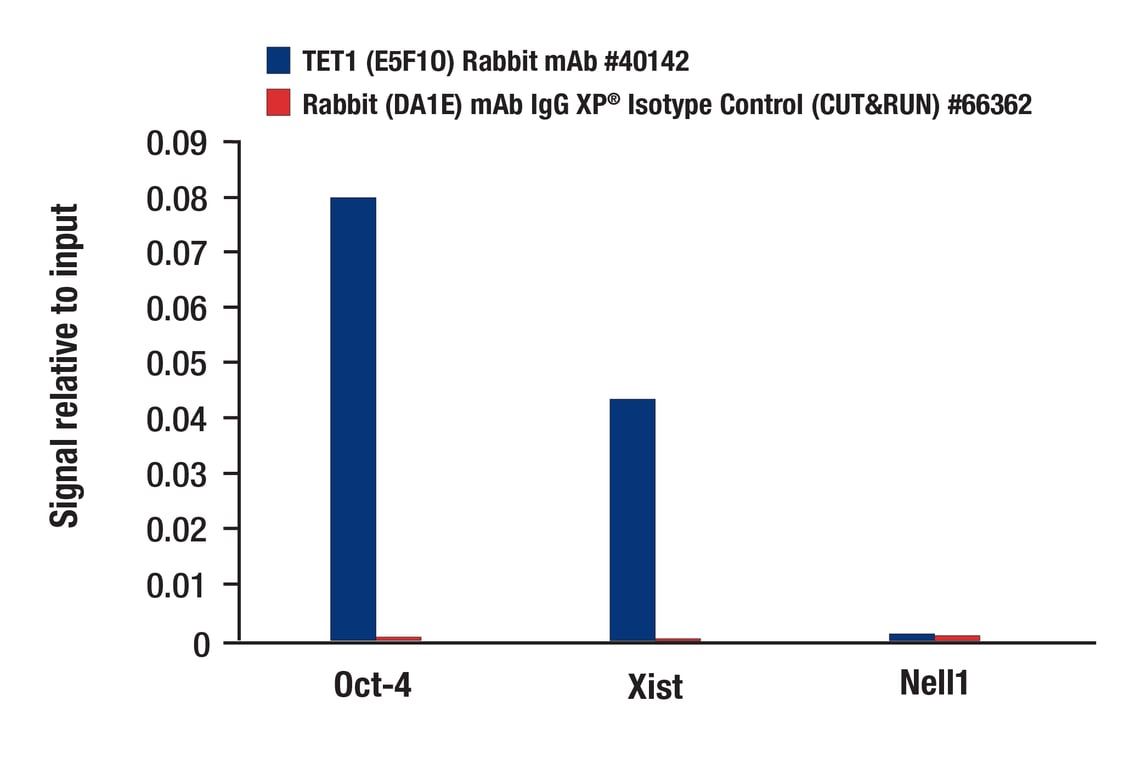 CUT & RUN Image 3: TET1 (E5F1O) Rabbit Monoclonal Antibody