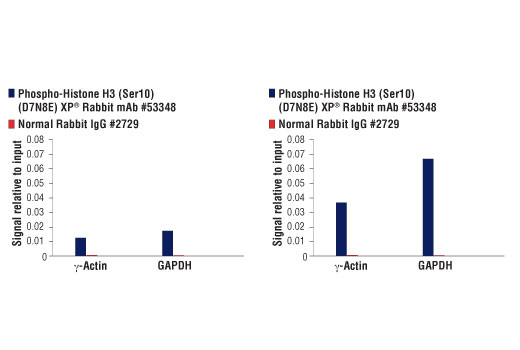 Chromatin Immunoprecipitation Image 1: Phospho-Histone H3 (Ser10) (D7N8E) Rabbit Monoclonal Antibody