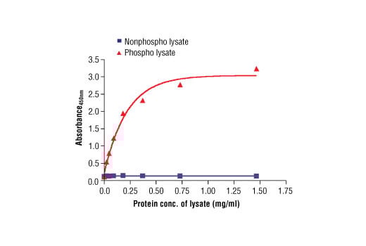 ELISA Image 2: PathScan<sup>®</sup> Phospho-Axl (panTyr) Sandwich ELISA Kit