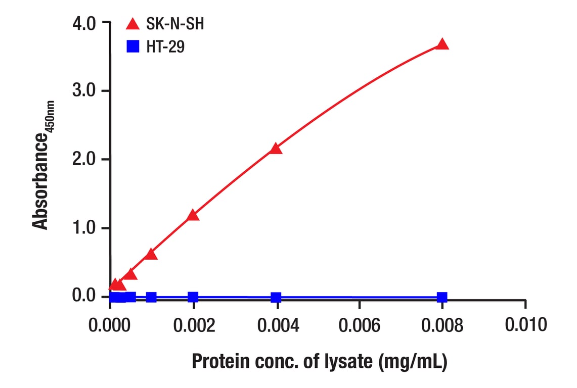 ELISA and/or ELISA-like Assays Image 2: COL1A1 (E8F4L) Rabbit Monoclonal Antibody (BSA and Azide Free)