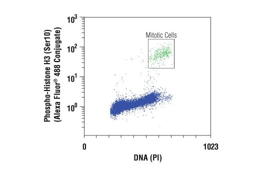 Flow Cytometry Image 1: Phospho-Histone H3 (Ser10) (D2C8) Rabbit Monoclonal Antibody (Alexa Fluor<sup>®</sup> 488 Conjugate)