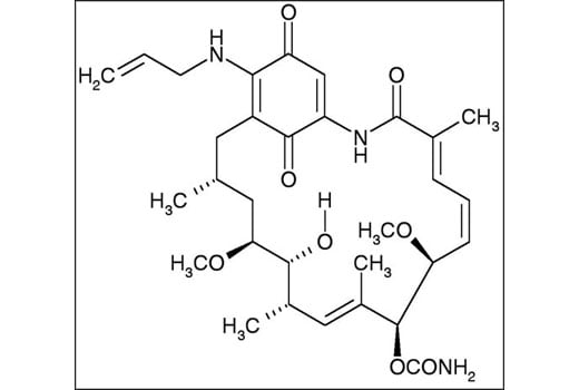 undefined Image 2: 17-AAG