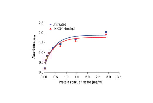 ELISA Image 2: PathScan<sup>®</sup> Total HER4/ErbB4 Sandwich ELISA Kit