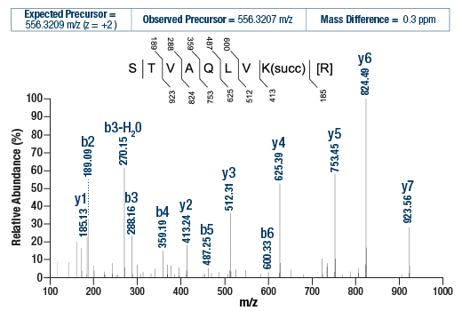 undefined Image 3: PTMScan<sup>®</sup> Control Peptides Succinyl-Lysine