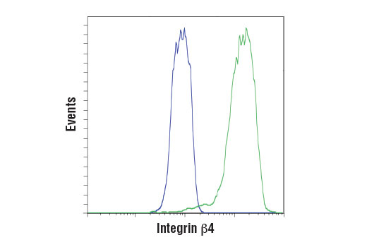 undefined Image 21: Integrin Antibody Sampler Kit