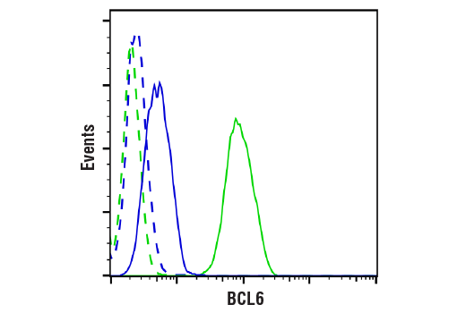 Flow Cytometry Image 1: BCL6 (D4I2V) Rabbit Monoclonal Antibody (BSA and Azide Free)
