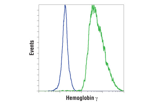 Flow Cytometry Image 1: Hemoglobin gamma (D4K7X) Rabbit Monoclonal Antibody