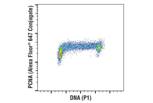 Flow Cytometry Image 1: PCNA (D3H8P) Rabbit Monoclonal Antibody (Alexa Fluor<sup>®</sup> 647 Conjugate)