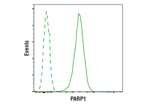 undefined Image 20: Apoptosis Antibody Sampler Kit II