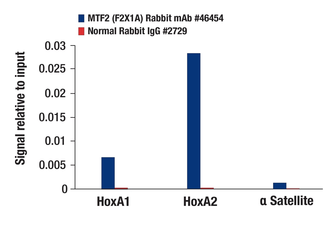 Chromatin Immunoprecipitation Image 1: MTF2 (F2X1A) Rabbit Monoclonal Antibody