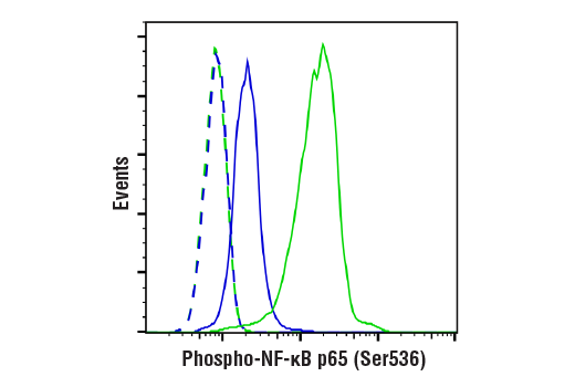Flow Cytometry Image 1: Phospho-NF-kappaB p65 (Ser536) (93H1) Rabbit Monoclonal Antibody