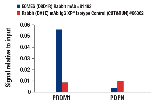 undefined Image 62: Human Exhausted T Cell Antibody Sampler Kit