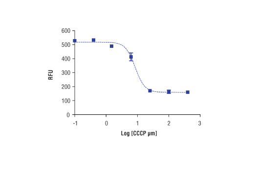 undefined Image 1: Mitochondrial Membrane Potential Assay Kit (II)