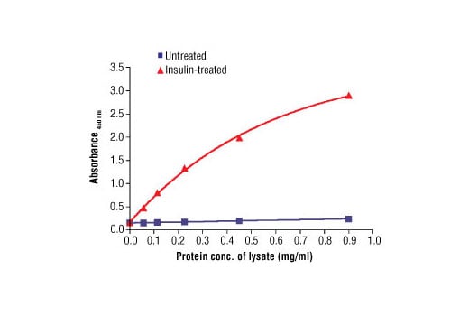 ELISA Image 3: PathScan<sup>®</sup> Phospho-Akt2 (Ser474) Sandwich ELISA Kit II