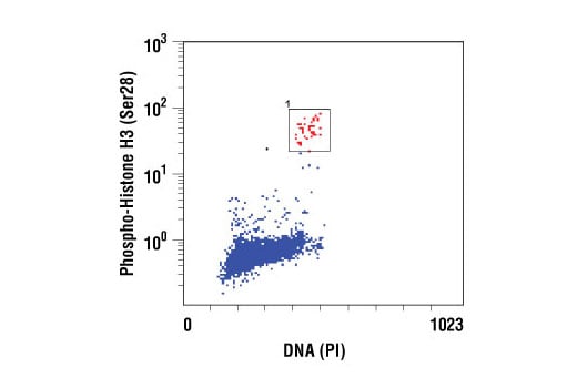 Flow Cytometry Image 1: Phospho-Histone H3 (Ser28) Antibody