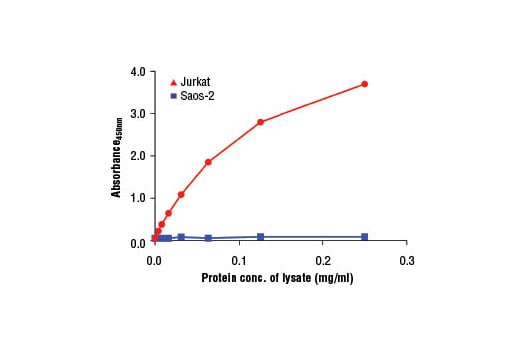 ELISA Image 2: PathScan<sup>®</sup> Total Rb Sandwich ELISA Kit