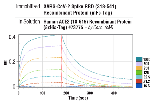 SARS-CoV-2 Spike RBD (318-541) Recombinant Protein (mFc-Tag): Image 1