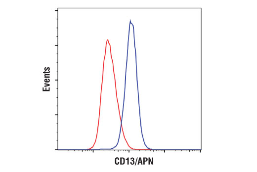 Flow Cytometry Image 1: CD13/APN (D6V1W) Rabbit Monoclonal Antibody (BSA and Azide Free)